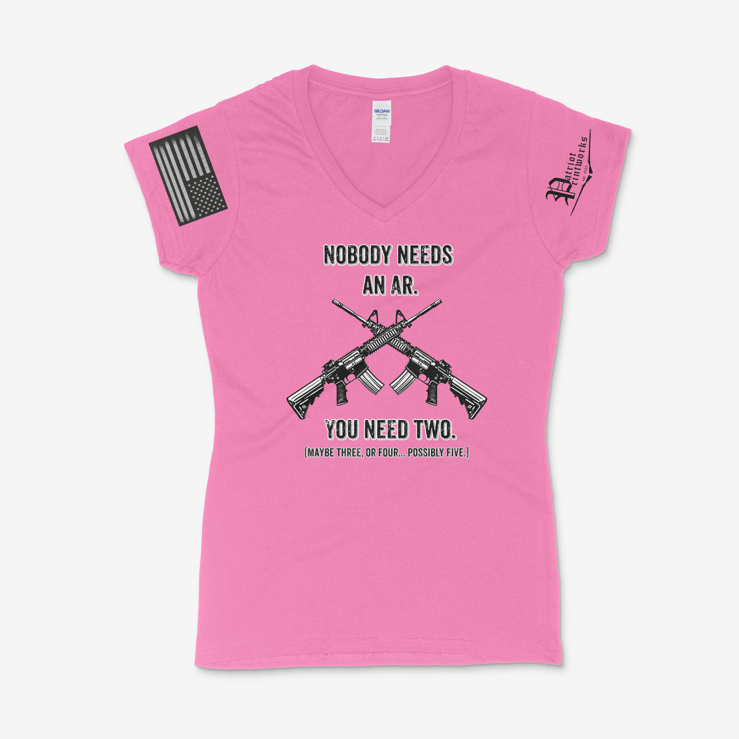 Nobody Needs an AR Ladies V-Neck T-Shirt