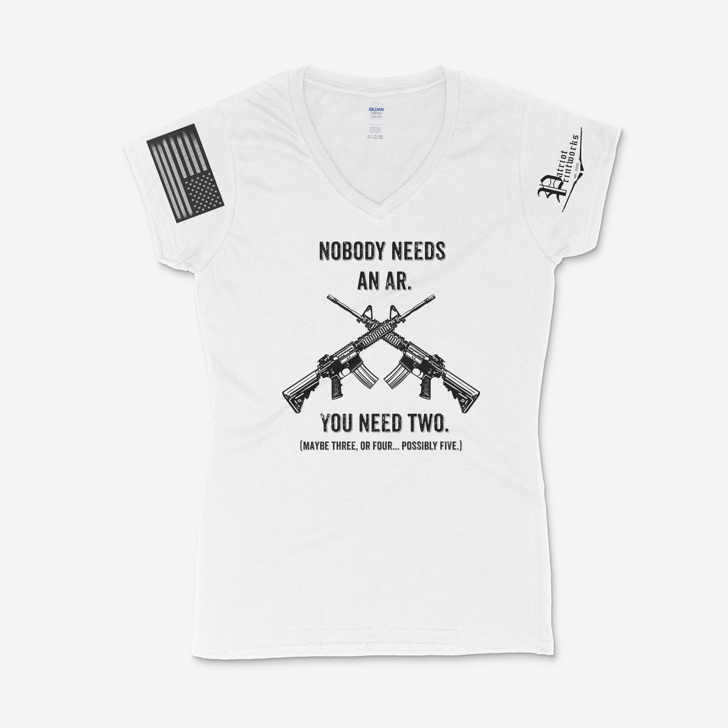 Nobody Needs an AR Ladies V-Neck T-Shirt